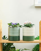 Fayoula Self Watering Pots for Indoor Plants, 6 Inch Ceramic Self Watering Plant Pot, Planter Pot with Wick Rope and Drainage Hole for African Violet Succulent Herbs (White Matte)