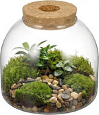 NUOBESTY Glass Terrarium Jar with Cork Lid, Hydroponic Plant Propagation Vase, Clear Round Betta Fish Bowl Tank for Moss Succulent Indoor Desktop Home Decor