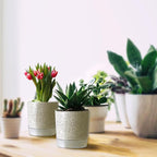 Self Watering Pots for Indoor Plants, Flower Pots, Self Watering Plant Pot-2pcs 4+5.3inch Crack Texture