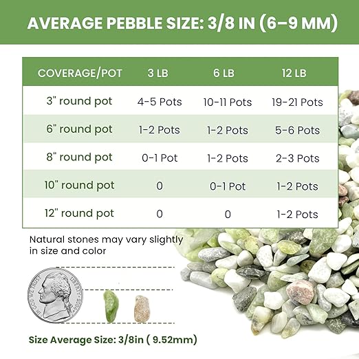 Pebbles for Indoor Plants,3/8 Inch Mixed Color Gravel, Polished Decorative Stones Colorful River Rock for Plants - for Succulent, Cactus, Fish Tank, Vase, Bird Bath, Garden Landscaping 6LB