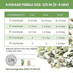 Pebbles for Indoor Plants,3/8 Inch Mixed Color Gravel, Polished Decorative Stones Colorful River Rock for Plants - for Succulent, Cactus, Fish Tank, Vase, Bird Bath, Garden Landscaping 3LB