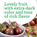 Bonnie Plants Black Cherry Tomato, 19.3 oz., 4-Pack, Live Plants