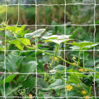 Tcamp Trellis Netting for Climbing Plants Outdoor Indoor (6" Square Mesh Ployester, 5ft x 15ft) (2 Pack)