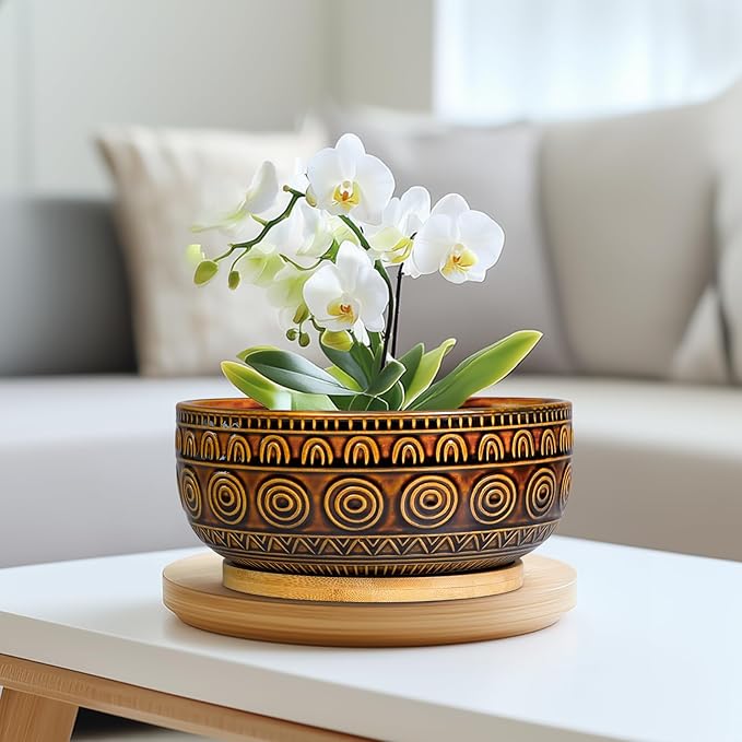 Eightpot Bonsai Pots 8 Inch - Ceramic Succulent Planters for Indoor Plants, Shallow Plant Pots with Drainage Hole and Saucer, Boho Round Planter Bowl, Office Decor, Brown