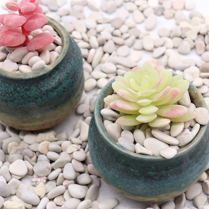 Rocks - Cream White Decorative Pebbles, 3/8 Inch - 10 lbs. Landscaping and Garden Stones, Suitable for Succulents and Pots