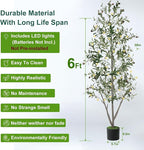 Olive Trees Artificial Indoor, 6FT Tall Faux Olive Tree with Light Kit Moss and Planter, Faux Plants Indoor with Natural Wood Trunk and Lifelike Fruits, Fake Tree for Home Office Living Room Decor