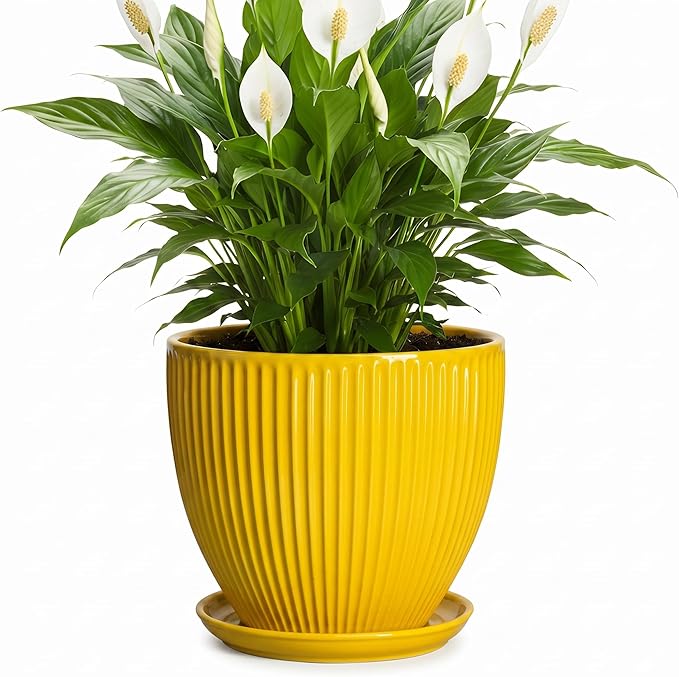 8 Inch Pots for Plants, Ceramic Plant Pots for Indoor Plants, Round Ceramic Planter with Drainage Hole and Saucer, Modern Decorative Plant Pot, Home Kitchen Decor, Women Men Gifts, Yellow