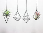ZOOELAY Hanging Air Plants Holders Black Airplants Plant Hanger Metal Geometric Inoor Planter Holder Air Ferns Display Rack with Chain 4Pcs …