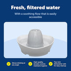 PetSafe Ceramic Pet Fountain – for Cats and Small Dogs – 60 Oz Water Capacity – Whisper-Quiet Water Flow – Great for Shy or Timid Pets – Fresh, Filtered Water