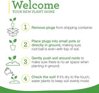 Bonnie Plants Green Bell Pepper Plugs, Live Plants, Ideal for Raised Beds and In-Ground Gardens, Sweet Bell Pepper Good for Fresh Eating, Cooking, Stuffing, and Grilling, 3 Cubic in., 6-Pack