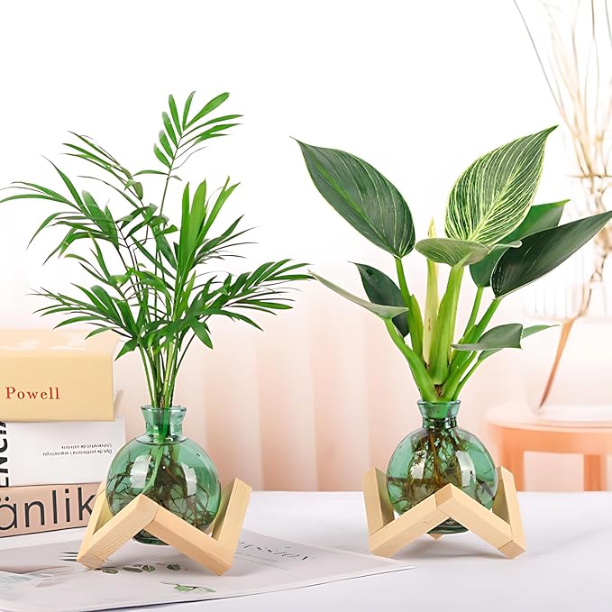 Plant Propagation Station Propagation Vases for Plants Glass Terrariums Vases Bulb with Wooden Stand for Hydroponic Water Plants Indoor, Office Decor Desk Accessories (Green)