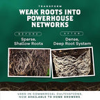 DYNOMYCO Granular Mycorrhizal Fungi Inoculant, 340g / 12oz – Boosts Root Growth, Yields & Nutrient Uptake – 900 Propagules/g, Concentrated Granules, & OMRI Listed – Biofertilizer for Plant Growth