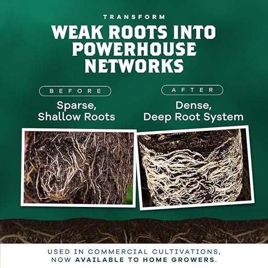 DYNOMYCO Granular Mycorrhizal Fungi Inoculant, 100g / 3.5oz – Boosts Root Growth, Yields & Nutrient Uptake – 900 Propagules/g, Concentrated Granules, & OMRI Listed – Biofertilizer for Plant Growth