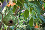 SuperMoss (56010) Raindrop Birdhouse with Chain, 10 by 13-Inch, Fresh Green