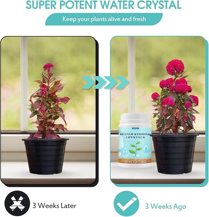 3LB Water Storing Crystals Powder for Plants with Spoon, Water Gel Solves Plant Over-Watering and Drought Problems, Keeps The Soil Moist, Water Storing Polymer Crystals for Plants Candle - by Oycevila
