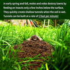 Nature's MACE Mole and Vole MACE, Mole Deterrent for Yard, Mole Repellent for Lawns, Keep Moles Out of Garden, Castor Oil Granules, Vole Repellent Outdoor, Plant & Pet Safe, 22 lb Bag, 17,600 Sq Ft