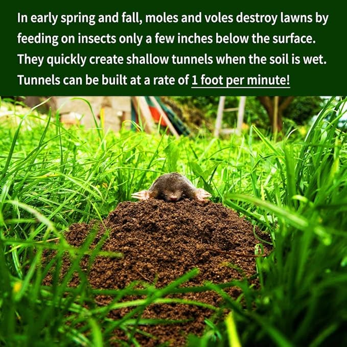 Nature's MACE Mole and Vole MACE, Mole Deterrent for Yard, Mole Repellent for Lawns, Keep Moles Out of Garden, Castor Oil Granules, Vole Repellent Outdoor, Plant & Pet Safe, 22 lb Bag, 17,600 Sq Ft