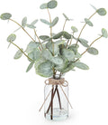 Artificial Eucalyptus Stems in Glass Vase with Faux Water, 13.5" Fake Plants for Home Decor, Coffee Table Centerpieces, Office, Bathroom & Farmhouse Weddings - Faux Greenery Plants Decorations