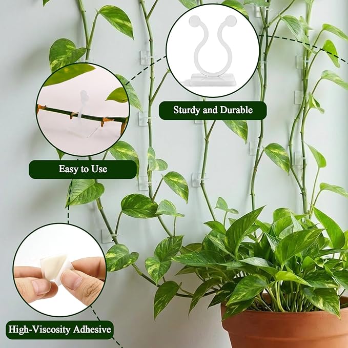 100 Pcs Plant Climbing Wall Fixture Clips, White Plant Fixer with Self-Adhesive Hook, Fixing Clip Vines Holder for Indoor Outdoor Plants Support Cable Wire (Medium)