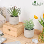 Der Rose 2 Pack Fake Succulents Plants Artificial Succulents in Pots for Room Home Bathroom Bedroom Office Boho Decor