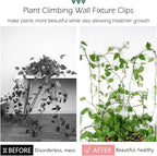 40 Pcs Plant Climbing Wall Fixture Clips Self-Adhesive Hook Vines Traction Clips Invisible Holder Garden Green Leaf Simulation Self-Adhesive Hook Wire Fixing Supporting