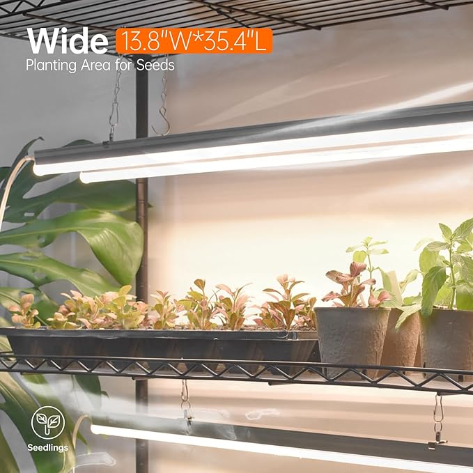 Bstrip Indoor Greenhouse with Grow Light, Indoor Greenhouse Cabinet with 6 Pack 90W Grow Lights with Timer, Mini Green House for Indoor Plant, Seed Starter, Seeding, 35.4"x13.8"x70.8"