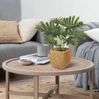 Briful Fake Plants Potted Monstera Artificial Plants Indoor Realistic Greenery Faux Plants in Square Plastic Rattan Baskets for Home Decor Farmhouse Office Weddings