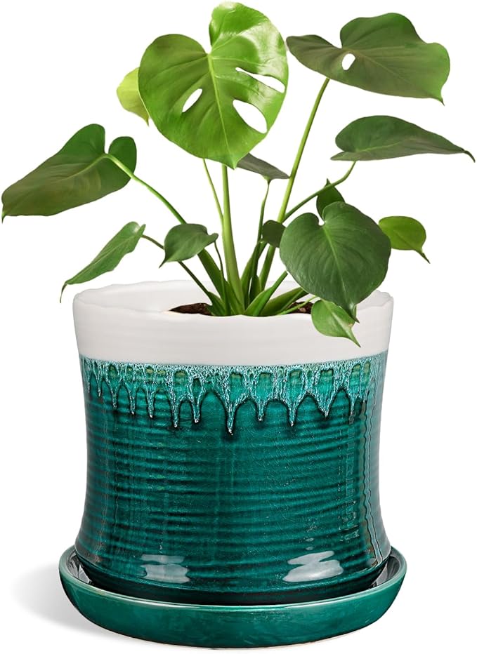 BUYMAX 8 Inch Plant Pot, Ceramic Planter with Drainage Hole and Saucer, Ceramic Flower Pot for Indoor Plants, Modern Round Flower Pots for Home and Office