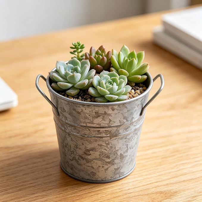 Hosley Set of 3 Galvanized Metal Planters – Rustic Farmhouse Flower Pots with Liner for Indoor, Outdoor, Patio & Wedding Decor