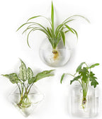Mkono Wall Planter Propagation Stations Hanging Glass Terrariums Vase Container for Propagating Hydroponic Plants Flowers Home Office Living Room Bathroom Garden Decor, 3 Pack