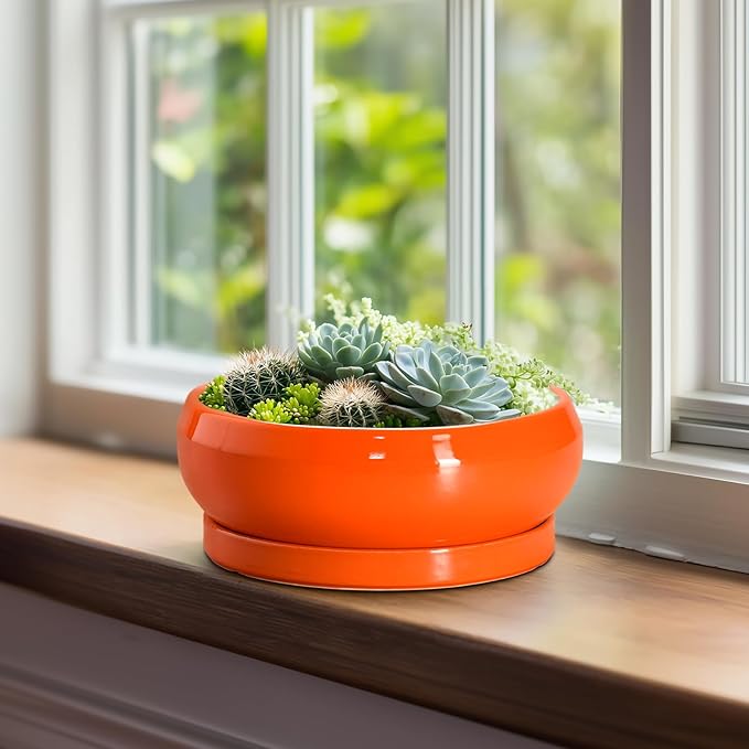 Bonsai Pots 8 Inch - Ceramic Succulent Planter with Drainage Hole and Saucer, Shallow Plant Pot Indoor Outdoor, Round Bowl Planter, Bonsai Tree Pots, Table Decor, Plant Lover Gift, Orange