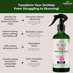 GARDENWISE Premium Orchid Plant Food Mist – Orchid Fertilizer Spray – Orchid Food Fertilizer for Blooming – Orchid Plant Care Formula 3-1-2 – Ready-to-Use (8 OZ)