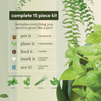 Planters' Choice Indoor Herb Garden Starter Kit - Coolest Gifts for Women - Birthday for Her - House Warming Gift New Home for Plant Lovers - Womens, Wife, Mom Presents - Gardening Herbs