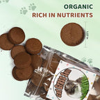 Doter Organic Potting Soil for Indoor Cat Grass, Great Seedling Soil for Wheat Grass, Bermuda, Catnip, and All Indoor Herb Plants