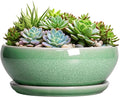 SQOWL Succulent Planter 12 Inch - Ceramic Bonsai Pots with Drainage Hole and Saucer, Large Shallow Planter, Bowl Round Planter for Indoor Outdoor Plants Flower, Room Decor, Birthday Gifts, Green