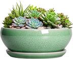 SQOWL Succulent Planter 12 Inch - Ceramic Bonsai Pots with Drainage Hole and Saucer, Large Shallow Planter, Bowl Round Planter for Indoor Outdoor Plants Flower, Room Decor, Birthday Gifts, Green