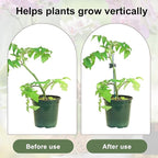 10Pcs Plant Support Stakes with 15pcs Plant Clips,15.7 Inches Bendable Plant Sticks for Indoor and Outdoor Plants,Single Stem Flower Stakes for Phalaenopsis Orchid Flower Roses(Green)