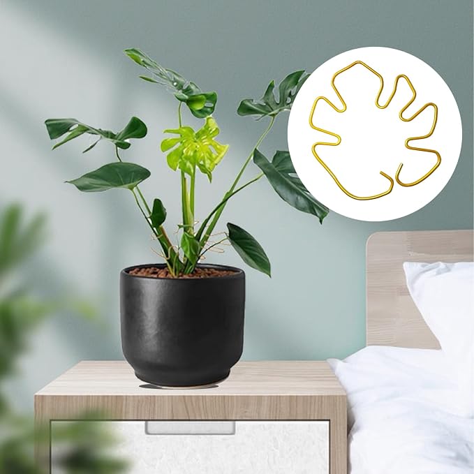 5Pcs Gold Plant Stem Support, Stable Support Stakes for Plants Stabilize, Outdoor & Indoor & Garden Plant Stakes for Healthy Growth (Flower Shaped Bracket C)