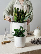 LE TAUCI Ceramic Pots for Plants, 10/8/6 Inch Indoor Planters with Draiange Hole, Silicone Plug & Mesh Pad, Modern Rasied-Dots Pots for Home Office, Set of 3, Satin, White