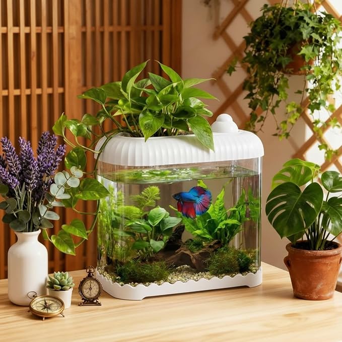 Geelin White 2 Gallon Plastic Aquaponic Betta Fish Tank Large Bowl Shatterproof Small Ecosystem Aquarium with Secure Buckle Lid, Clear Clarity for Terrarium, Flower Vase Betta Fish Tabletop Gifts