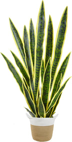 Warmplants Artificial Snake Plant, 3ft Fake Sansevieria with Basket, 35" Fake Mother in Law Plants, Perfect Faux Potted Plant Greenery for Indoor Home Office Store Lifelike Decoration (Yellow)