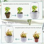 Venus Fly Trap Terrarium Pot with Timer Grow Light&Fan,Plant Terrarium kit for Moss&Cactus,Smart Planter for Carnivorous Plants&Butterwort,Mother's Day Birthday Gifts for Women Garden Lover(no Plant)