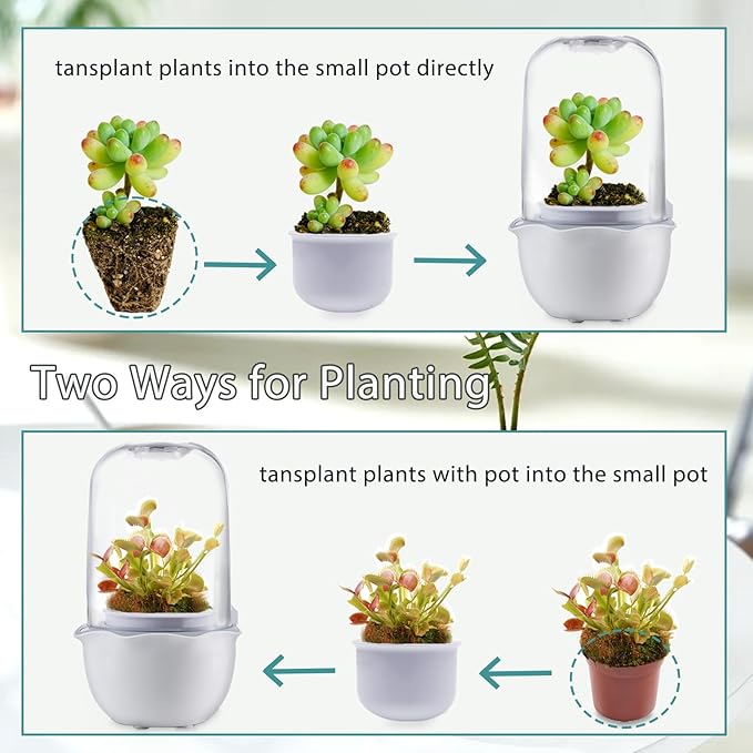 Venus Fly Trap Terrarium Pot with Timer Grow Light&Fan,Plant Terrarium kit for Moss&Cactus,Smart Planter for Carnivorous Plants&Butterwort,Mother's Day Birthday Gifts for Women Garden Lover(no Plant)