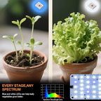 DOMMIA Panel Grow Light for Indoor Plants, 20W Ultra-Thin Full Spectrum LED Grow Light for Shelf & Cabinet, Dimmable with 6/12/16H Timer, Bluish White, 1-Pack