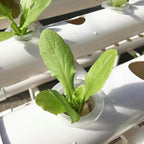 FLTRGO Hydroponics Growing System, Hydroponics Growing System Tower, PVC Pipe, 108 Holes, for Planting Vegetables, Indoor Garden System Tall Hydroponics System Outdoor