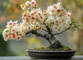Yellowhorn Bonsai Tree Seeds for Planting (5 Large Seeds) - Exotic Blooms All Season - Xanthoceras sorbifolium