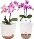 5.8 Inch Self Watering Planters for Indoor Plants with Bottom Watering,2Pack Flower Plant Pots for Outdoor with Drainage, Durable Plastic planters Pots(White)