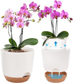 5.8 Inch Self Watering Planters for Indoor Plants with Bottom Watering,2Pack Flower Plant Pots for Outdoor with Drainage, Durable Plastic planters Pots(White)