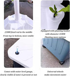 FLTRGO Hydroponics Growing System,Indoor herb Garden,hydroponic Growing Kits & Systems,Vegetables hydroponic Grow kit,with Hydrating Pump, Adapter, Net Pots.