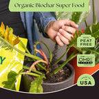 Rosy Soil Plant Food - Microbially Active Fertilizer for Houseplants, Herbs, Flowers – Enriched with Biochar, Kelp, and Worm Castings – Organic Food for Healthy Growth – 4 Quarts